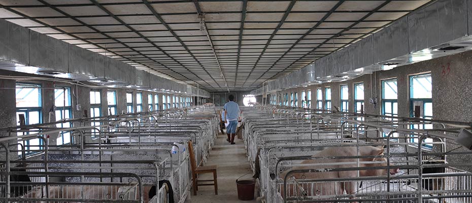 東莞環(huán)?？照{(diào)安裝